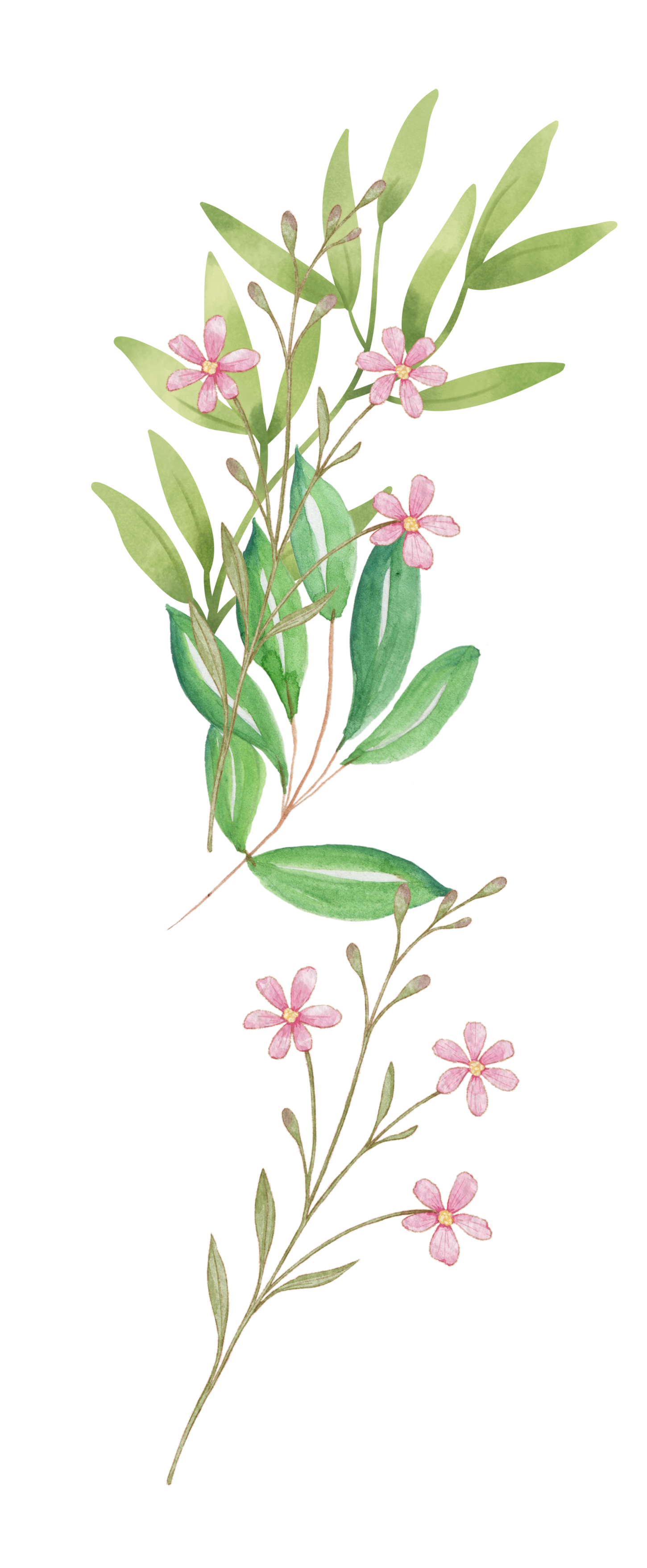 Floral Decor